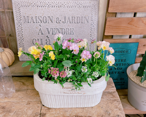 b374600955b28e2ff2e2bafcb407e8