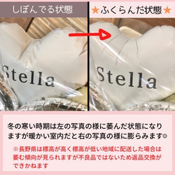 ※在庫限り※【オータムカラー/ピンクベージュ】バルーン電報　結婚式　電報　記念日　 10枚目の画像