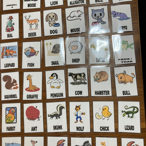ペッピーキッズクラブ 教材 モラモラi ピクチャーカード 英語