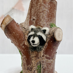 送料無料【くらぷらか】天然木のうろからタヌキちゃん フェイク苔と羊毛フェルト 4枚目の画像