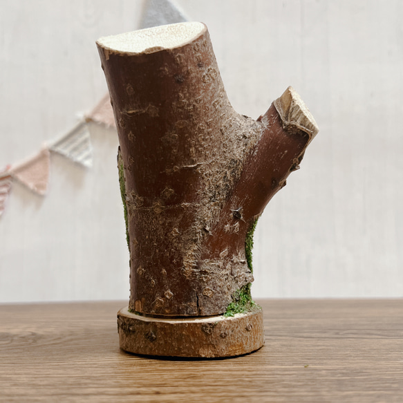 送料無料【くらぷらか】天然木のうろからタヌキちゃん フェイク苔と羊毛フェルト 7枚目の画像
