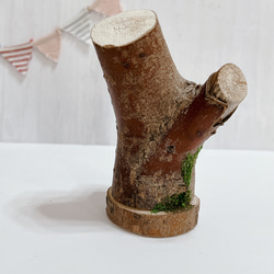 送料無料【くらぷらか】天然木のうろからタヌキちゃん フェイク苔と羊毛フェルト 12枚目の画像
