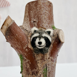 送料無料【くらぷらか】天然木のうろからタヌキちゃん フェイク苔と羊毛フェルト 3枚目の画像