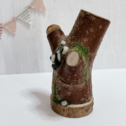送料無料【くらぷらか】天然木のうろからタヌキちゃん フェイク苔と羊毛フェルト 5枚目の画像