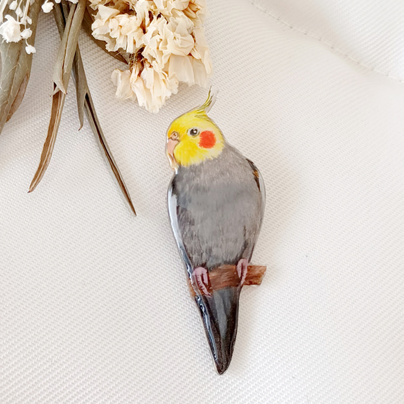 オカメインコにブロッコリーを与えるにはどうすればいいですか？