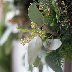自然の香りのクリスマスリース「NOEL」～グリーンと可愛いリンゴがあなたのドアを飾ります～ 4枚目の画像