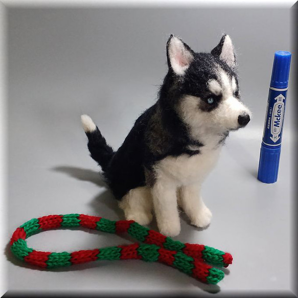 羊毛フェルト　犬　シベリアンハスキー　いぬ　イヌ　犬フィギュア　クリスマス 7枚目の画像