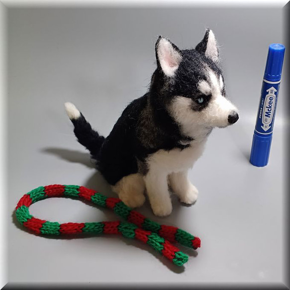 羊毛フェルト　犬　シベリアンハスキー　いぬ　イヌ　犬フィギュア　クリスマス 5枚目の画像