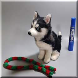 羊毛フェルト　犬　シベリアンハスキー　いぬ　イヌ　犬フィギュア　クリスマス 4枚目の画像