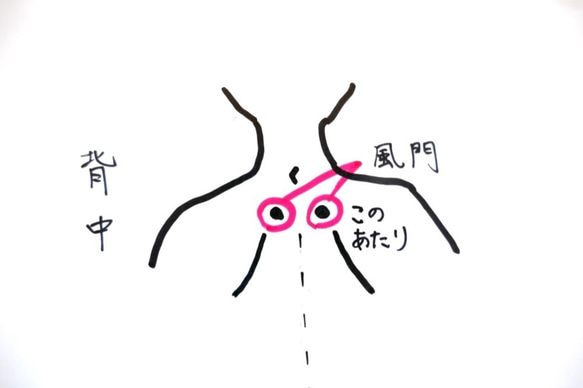 ツボ(風門/水突)のあたため 小豆カイロ＆カバー リバティ メイベル  喘息 喉 首 布小物 母の日 5枚目の画像