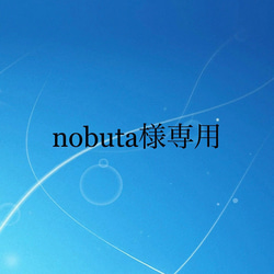nobu ta様専用《天然石》ペンダントトップ【ラピスラズリ　8mm/シルバー】 1枚目の画像