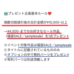 3周年記念SALE✨【フォロワー様限定　おまとめ買い福袋SALE】11月8日（水）まで 4枚目の画像