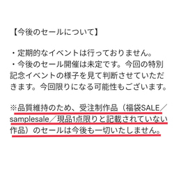 3周年記念SALE✨【フォロワー様限定　おまとめ買い福袋SALE】11月8日（水）まで 15枚目の画像