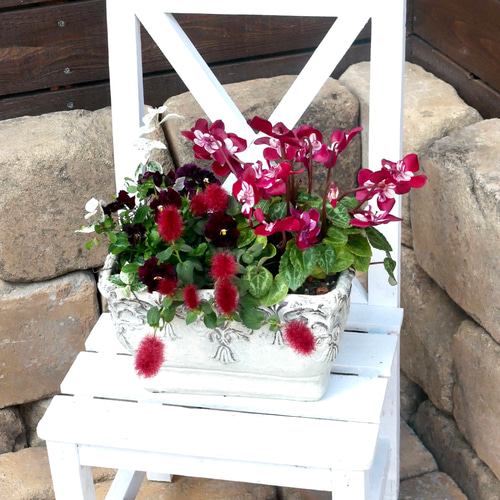 大人かわいいシクラメンとビオラのリース 花苗植え替えに最適な季節になりました！ 今年の新顔をいくつかご紹介