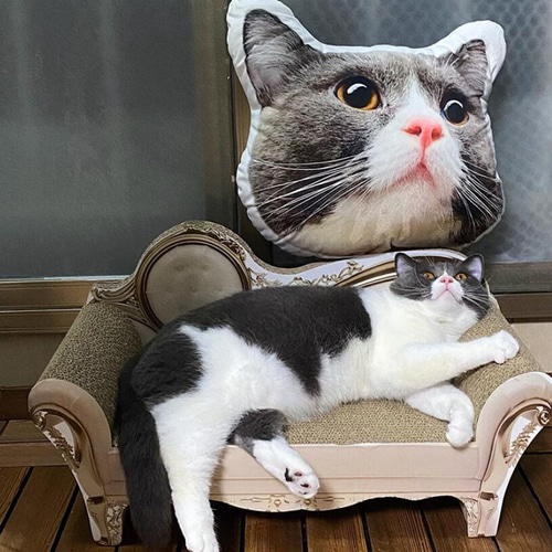 ⭐︎オーダーメイド⭐︎うちの子グッズ