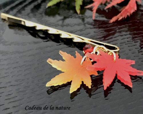 42f5f370950524ba93634d41b0a4a3