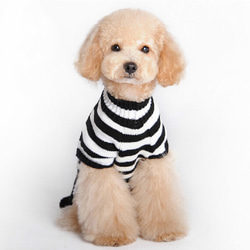 ペット服 犬 ハロウィン 小型犬用服 ペットセーター 犬服 犬のセーター 頭蓋骨 13枚目の画像