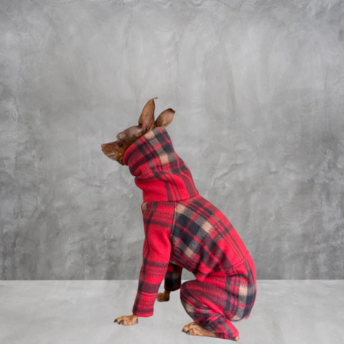 ◉再販2回目！【ミニピン トイマン】クラシカルフリース ペット服