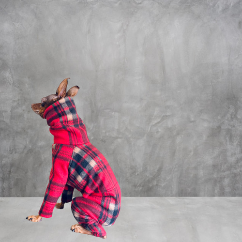 【ミニピン トイマン イタグレ ウィペット】クラシカルフリース カバーオール ◉再販2回目！【ミニピン トイマン】クラシカルフリース ペット服