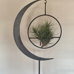 アイアン プラントホルダー　プラントスタンド　植物置き　三日月　鉄　スチール　 3枚目の画像