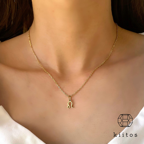 つけっぱなしOK♪ 12 星座 ネックレス 316L サージカルステンレス