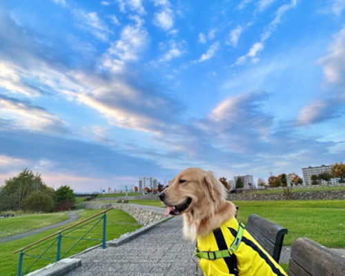 2a340b48407aac56dc83296c6e5e85