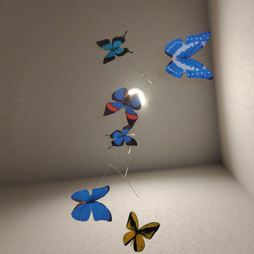 蝶 蝶々 モルフォ モビール バタフライ Butterfly モビール J.L.V