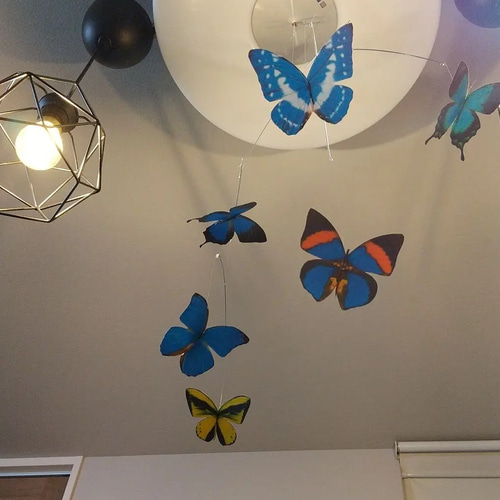 蝶 蝶々 モルフォ モビール バタフライ Butterfly モビール J.L.V