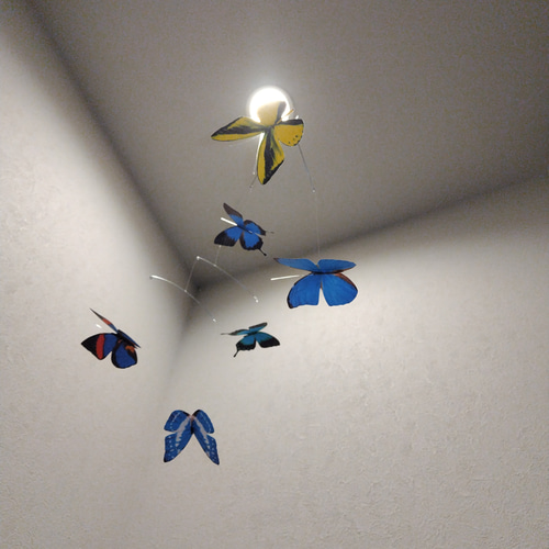 蝶 蝶々 モルフォ モビール バタフライ Butterfly モビール J.L.V