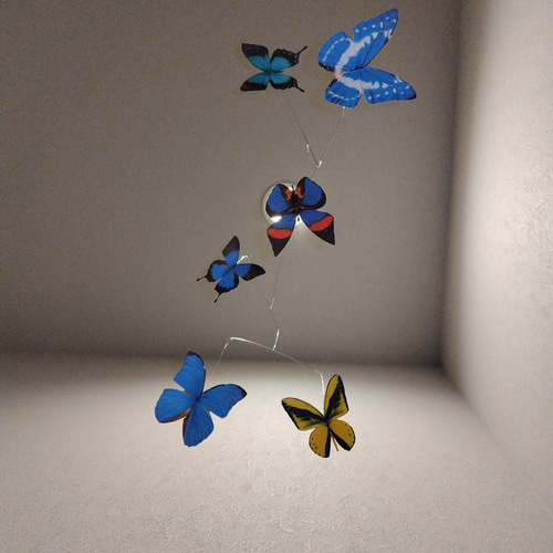 ￥1800→￥1670 蝶 蝶々 モルフォ モビール バタフライ Butterf 蝶 蝶々 モルフォ モビール バタフライ Butterfly モビール J.L.V