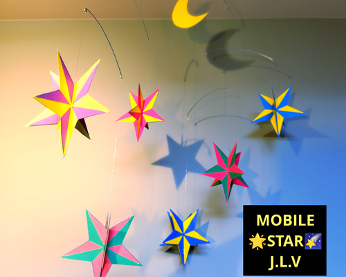 c74ff46a9d35a25fcb8dd9021e1704