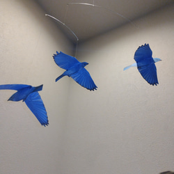 青い鳥　ブルーバード　小鳥　モビール 3枚目の画像