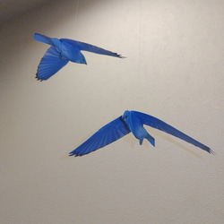 青い鳥　ブルーバード　小鳥　モビール 9枚目の画像