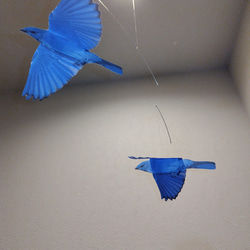 青い鳥　ブルーバード　小鳥　モビール 5枚目の画像