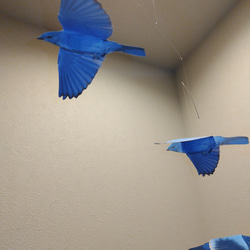 青い鳥　ブルーバード　小鳥　モビール 11枚目の画像