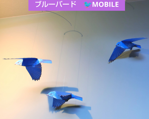 e0fa7d2efe7d6abfcc2a09a1cde232