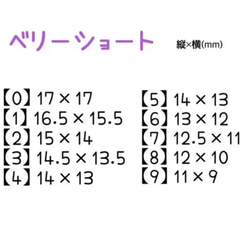 ネイルチップ ニュアンスネイル No.35 チップシール付き 5枚目の画像