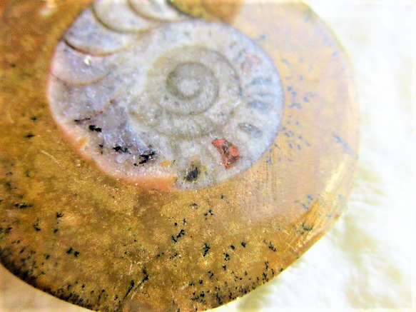 A３１　ネックレス　石化アンモナイト　レオパードスキンジャスパー　天然石　天然石ビーズアクセサリー 5枚目の画像