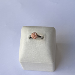 珊瑚彫刻　フリーサイズリング　指輪　ピンクのミニ薔薇　R51029Y2 5枚目の画像
