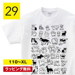 犬 tシャツ 犬tシャツ 服 半袖 Tシャツ 犬 グッズ 雑貨 かわいい 綿100 図鑑 プレゼント 犬好き 1枚目の画像