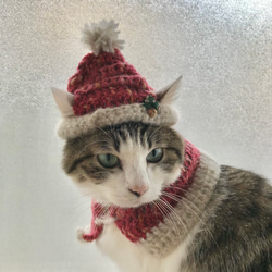 キラキラ猫ちゃんサンタ帽とケープセット（もみの木の刺繍付き） 5枚目の画像