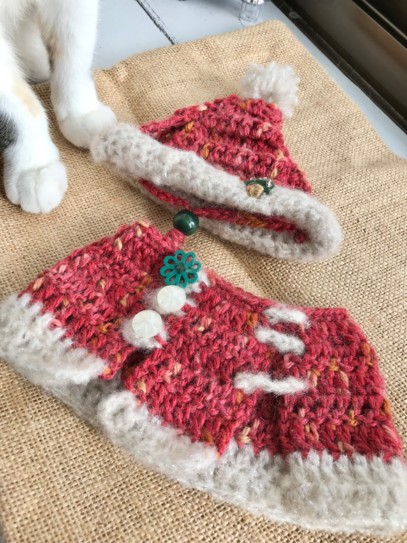 キラキラ猫ちゃんサンタ帽とケープセット（もみの木の刺繍付き） 13枚目の画像