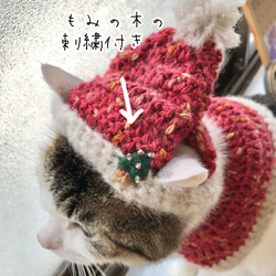 キラキラ猫ちゃんサンタ帽とケープセット（もみの木の刺繍付き） 2枚目の画像