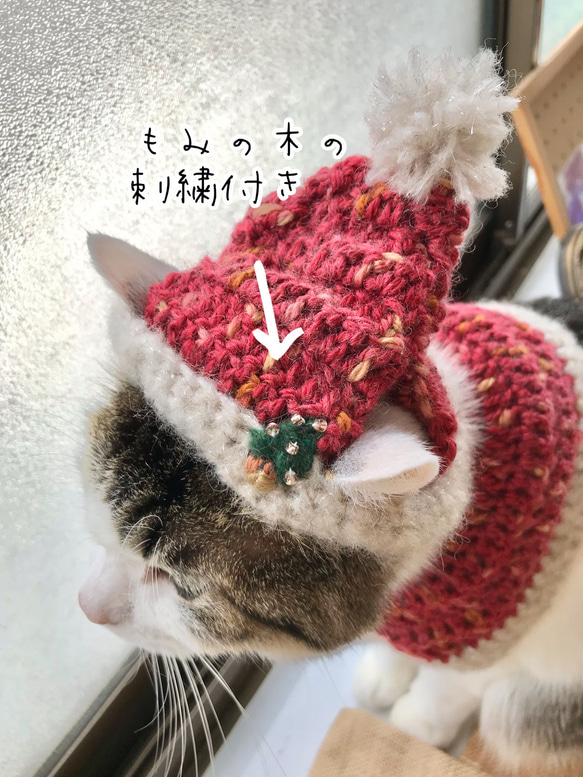 キラキラ猫ちゃんサンタ帽とケープセット（もみの木の刺繍付き） 2枚目の画像