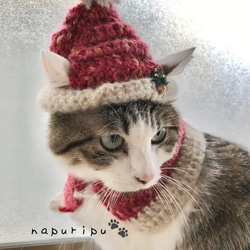 キラキラ猫ちゃんサンタ帽とケープセット（もみの木の刺繍付き） 1枚目の画像