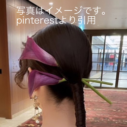 胡蝶蘭　カラー　髪飾り　【金箔 & 水引き セット】 ドライフラワー　プリザーブドフラワー　造花　白無垢　成人式 5枚目の画像