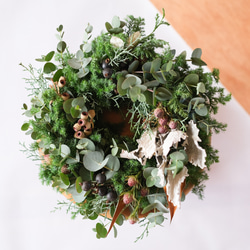 849cd64324096e3d2fb4dc1f916a3c