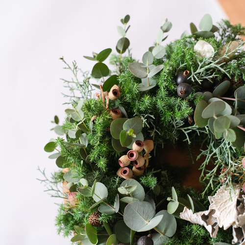ドライフラワー針葉樹と野薔薇の実などのクリスマスリース❁⃘*.゜ ドライフラワー針葉樹と野薔薇の実などのクリスマスリース❁⃘*.゜