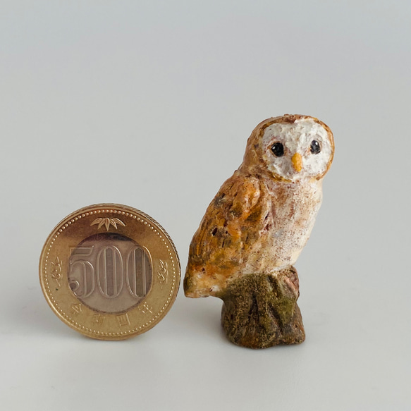 メンフクロウ（barn owl） 8枚目の画像