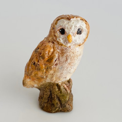 メンフクロウ（barn owl） 2枚目の画像